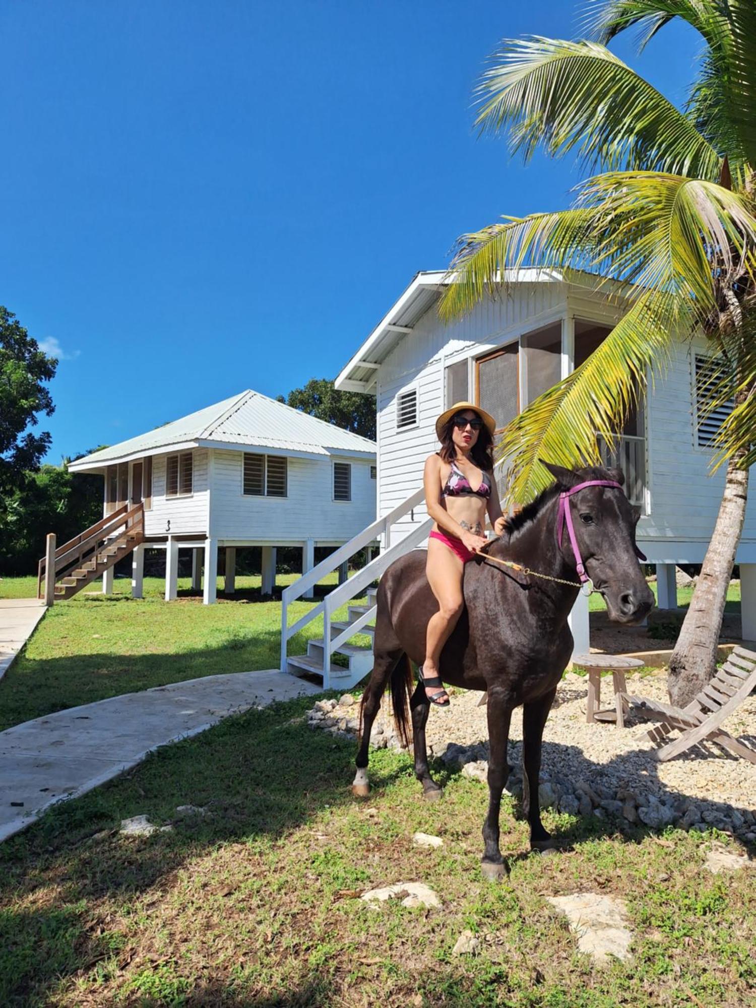 Horse Cottage Sarteneja Exterior photo